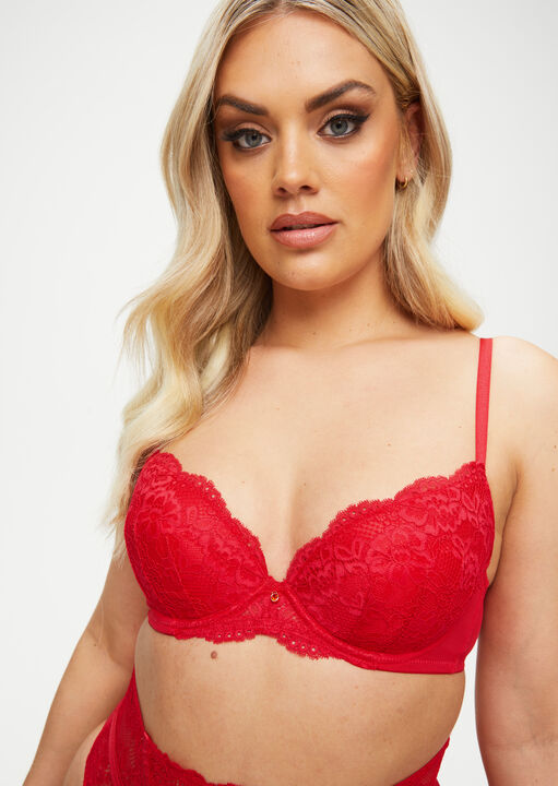 Sexy Lace Padded Plunge Bra image number 1.0